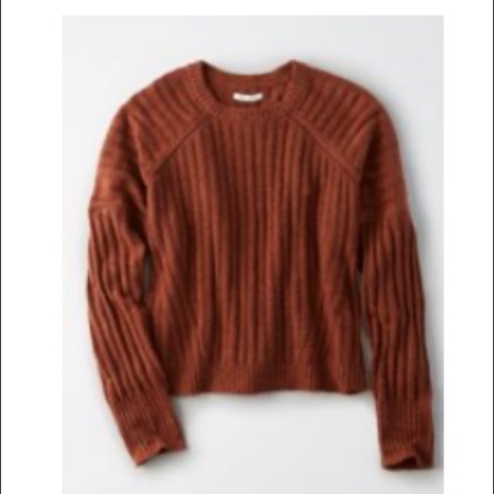 AE Rust Crew Neck Pullover Sweater